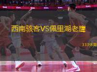 西南駭客VS佩里湖老鷹