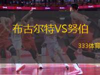 布古爾特VS努伯