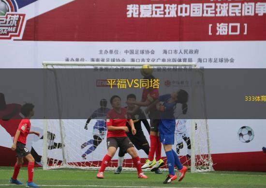 平福VS同塔