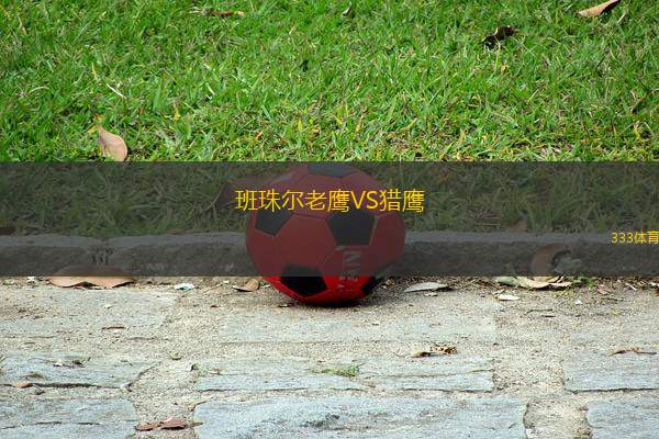 班珠爾老鷹VS獵鷹