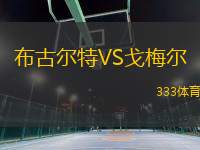 布古爾特VS戈梅爾