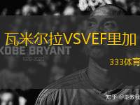 瓦米爾拉VSVEF里加