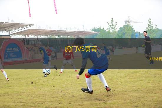 虎門VS葵青