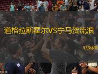 道格拉斯霍爾VS寧馬賀流浪