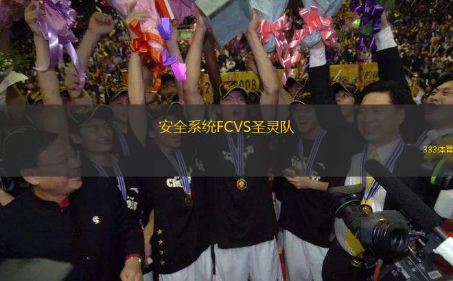 安全系統(tǒng)FCVS圣靈隊