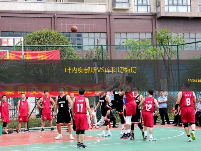 葉內(nèi)奧都斯VS庫(kù)科切梅切