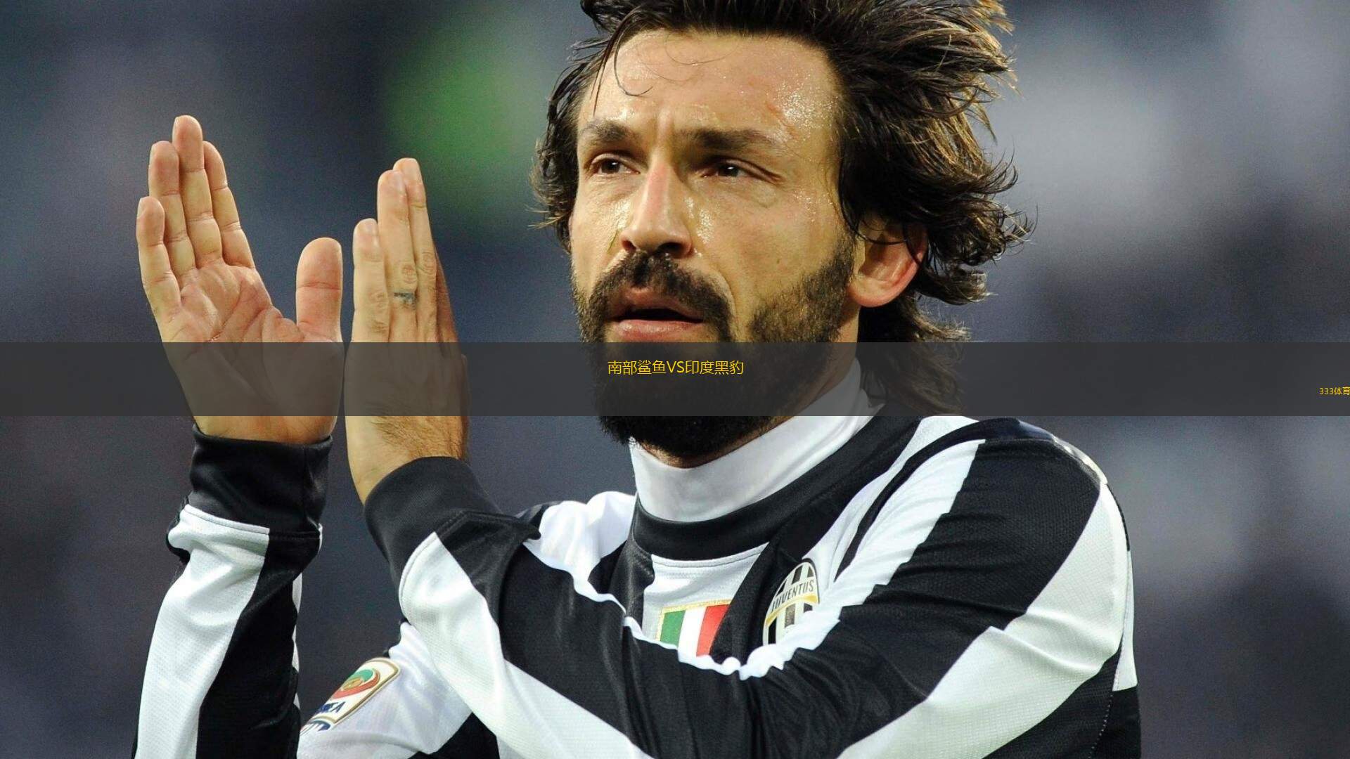 南部鯊魚VS印度黑豹