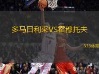 多馬日利采VS霍穆托夫