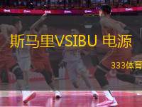 斯馬里VSIBU 電源