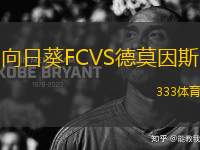 向日葵FCVS德莫因斯