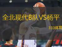 全北現(xiàn)代B隊(duì)VS楊平