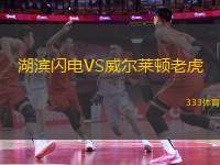 湖濱閃電VS威爾萊頓老虎