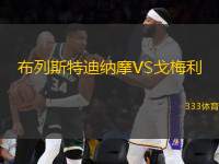 布列斯特迪納摩VS戈梅利