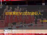 印度黑豹VS尼爾遜巨人