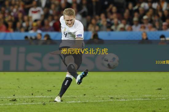 悉尼聯(lián)VS北方虎