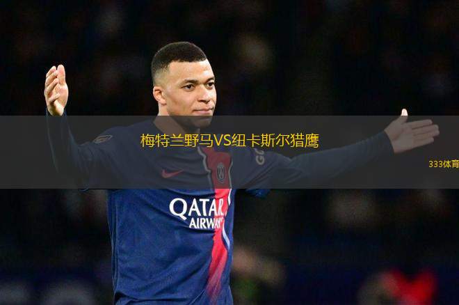 梅特蘭野馬VS紐卡斯?fàn)柅C鷹