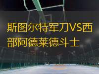 斯圖爾特軍刀VS西部阿德萊德斗士