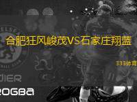 合肥狂風(fēng)峻茂VS石家莊翔藍(lán)