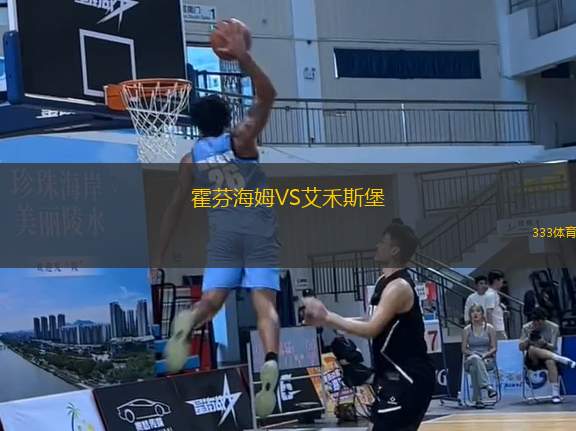 霍芬海姆VS艾禾斯堡