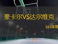 豪卡爾VS達(dá)爾維克