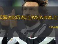貝雷達(dá)比歷克U19VSIA卡瑞U19