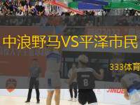 中浪野馬VS平澤市民