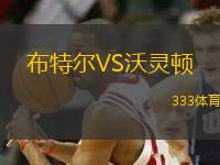 布特爾VS沃靈頓