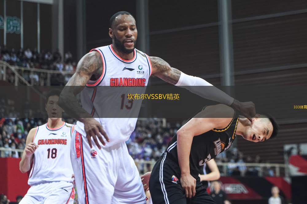 坎布爾VSSBV精英