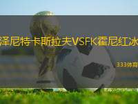 澤尼特卡斯拉夫VSFK霍尼紅冰