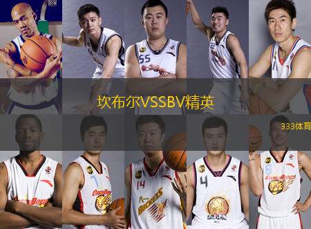 坎布爾VSSBV精英