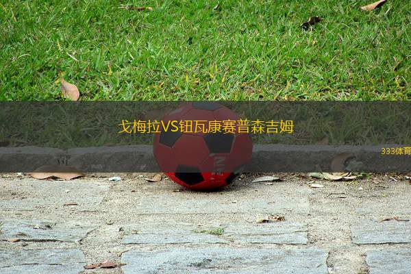 戈梅拉VS鈕瓦康賽普森吉姆