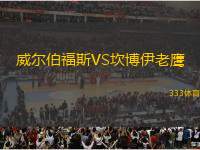 威爾伯福斯VS坎博伊老鷹